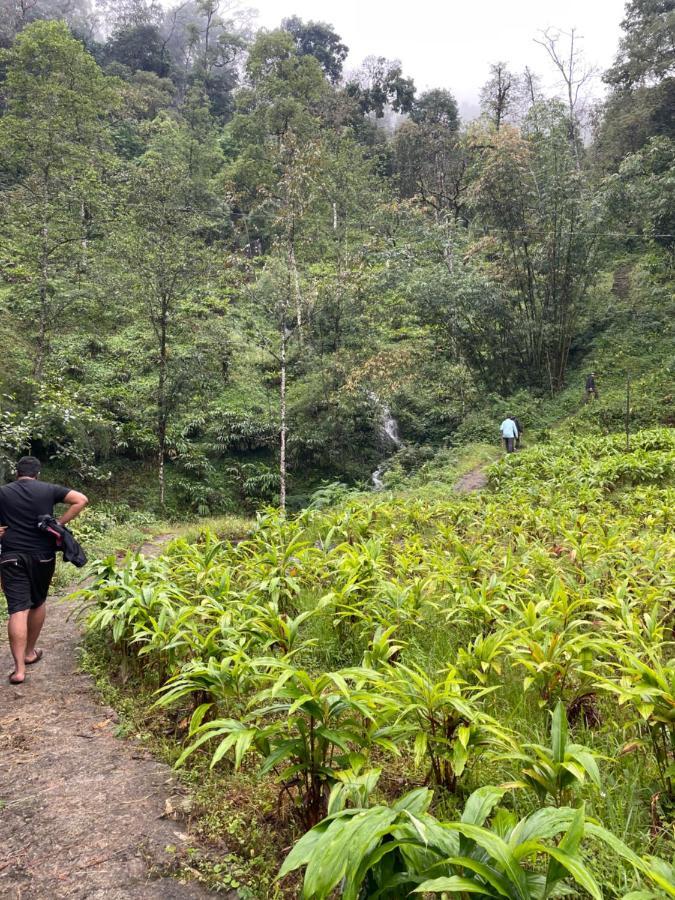 Khimsha Homestay Pelling Bagian luar foto