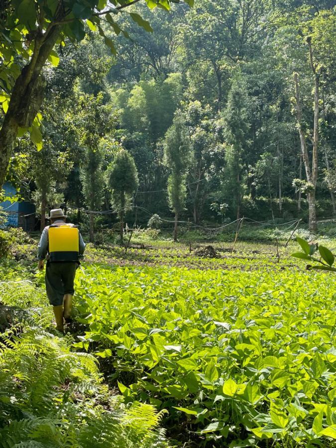 Khimsha Homestay Pelling Bagian luar foto