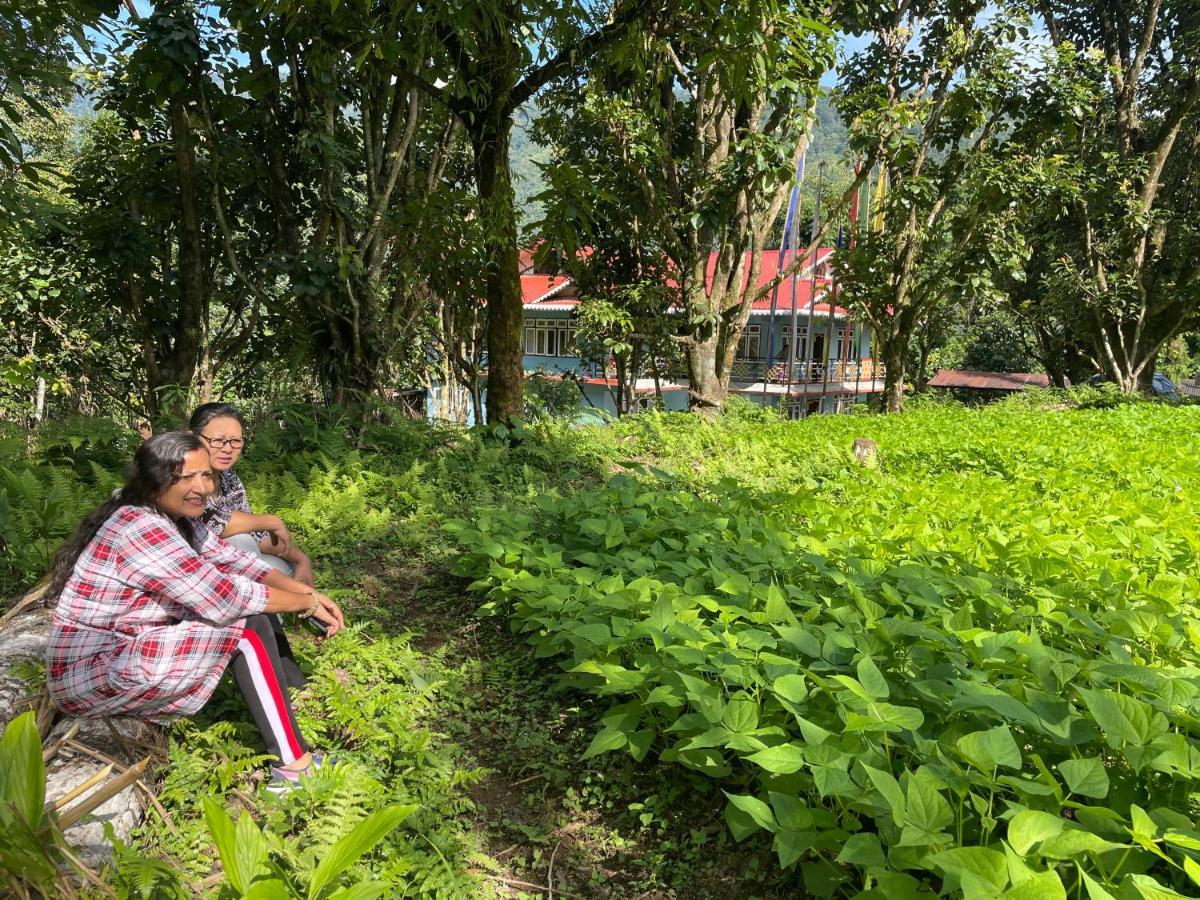 Khimsha Homestay Pelling Bagian luar foto